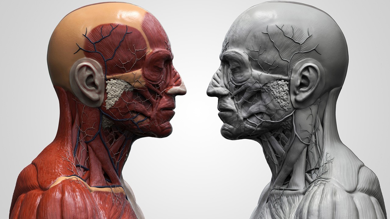 Imaging of midface fractures – a  retrospective study